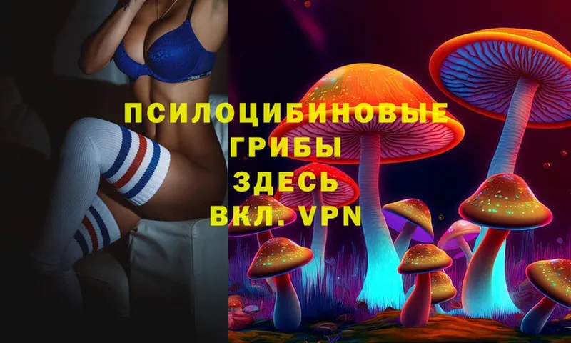 цены наркотик  Нефтекамск  Галлюциногенные грибы Psilocybe 